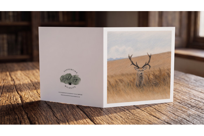 Red Deer Stag Greeting Card